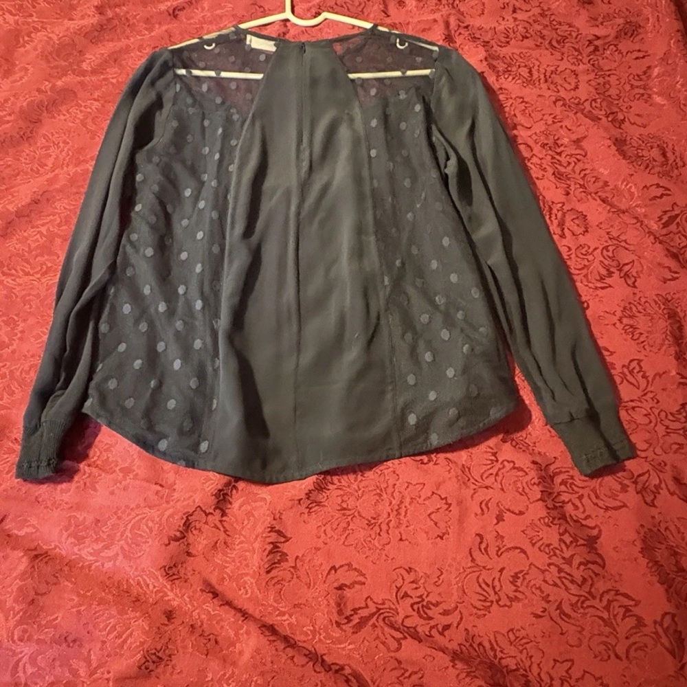 Elegant Sheer Black Blouse